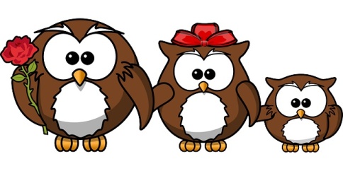 owl-family